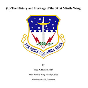 341st Missile Wing patch
